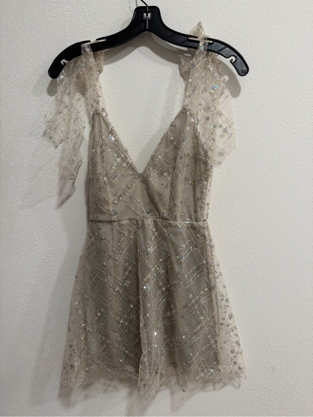 Lucy in the Sky Iridescent Silver Lace Mini Dress